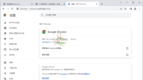 Google Chrome v129.0.6668.71增强版